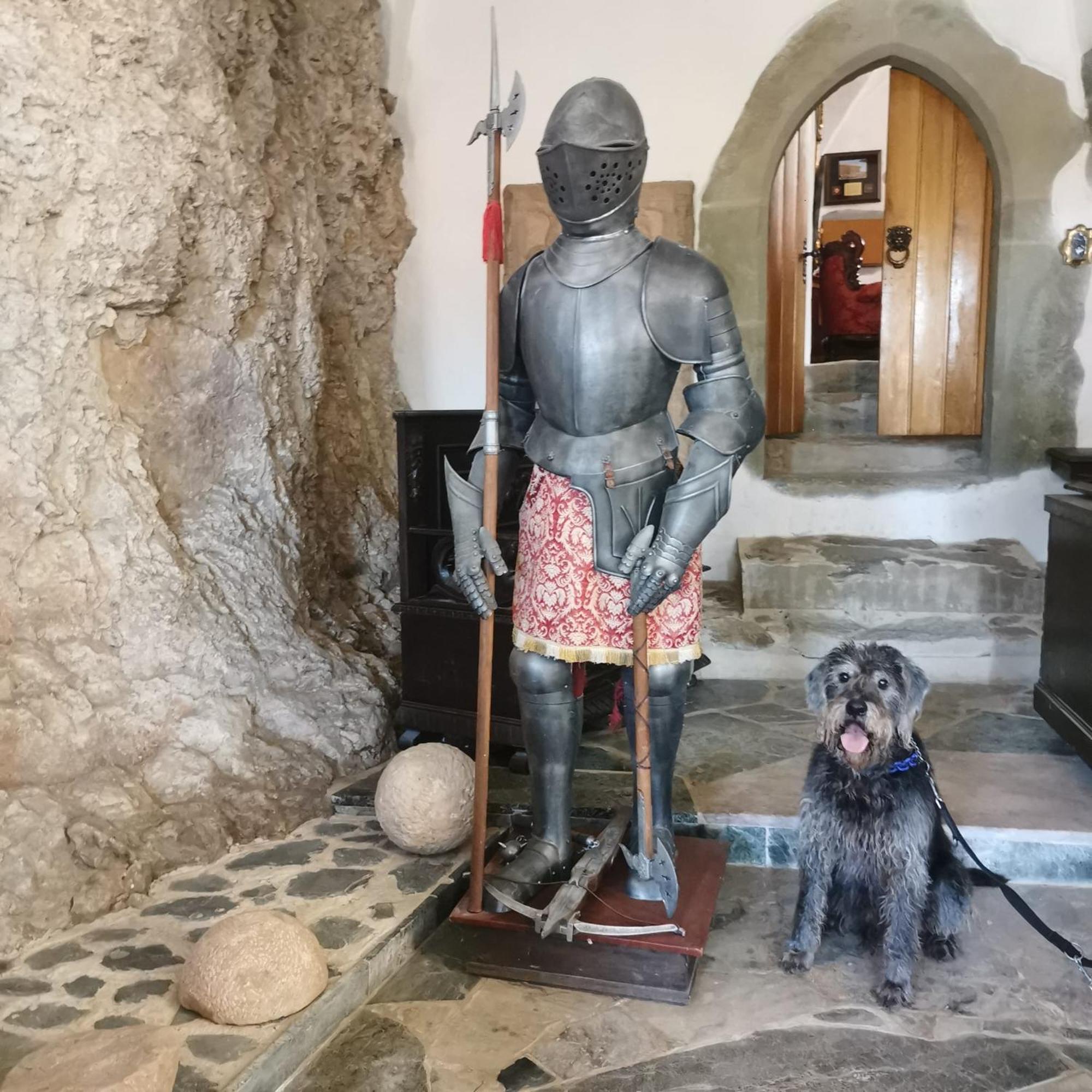Burg Hermannstein - Kings Room Wetzlar Dış mekan fotoğraf
